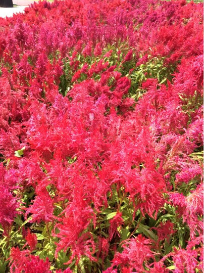 惠普(HP) Pavilion m4-1017TX 14英寸笔记本电