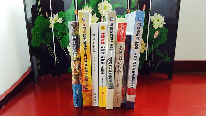 拿破仑论战争 晒单图