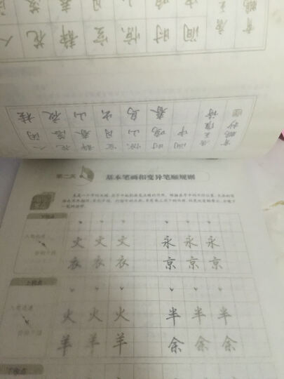 墨点字帖 行楷入门速成教程·笔画偏旁（硬笔行楷书基础练字钢笔字帖） 晒单图