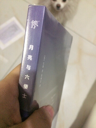 毛姆文集:刀锋 晒单图