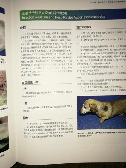 小动物皮肤病彩色图谱与治疗指南(第3版) 晒单图
