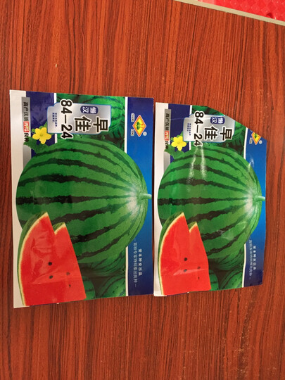 颜集卉 A蔬菜种子四季播种庭院阳台种菜花种子易活 芝麻酥甜瓜230粒 晒单图