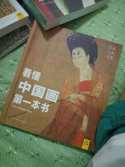 看懂中国画第一本书 晒单图