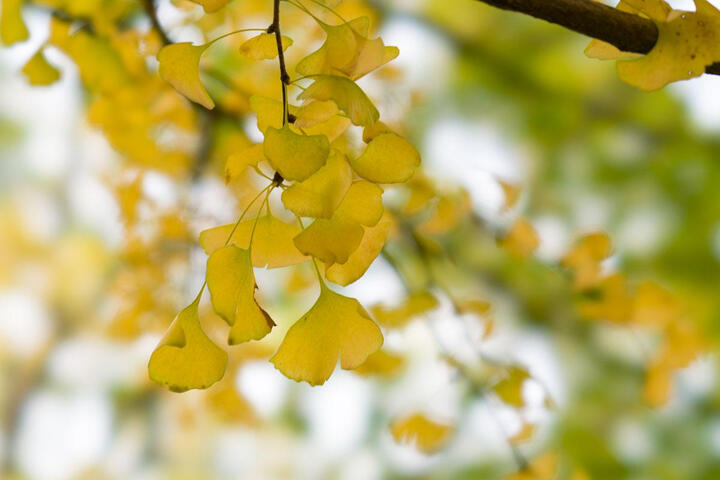 索尼(SONY)FE 100-400mm F4.5–5.6 GM OSS 全画幅超远摄变焦G大师镜头 E卡口(SEL100400GM) 晒单图