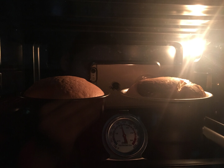 约肯意欧（UKOEO） 全自动电烤箱家用大容量52L烘焙8管多功能烤箱烤蛋糕做私房烤肉烤披萨5002 米白色 晒单图