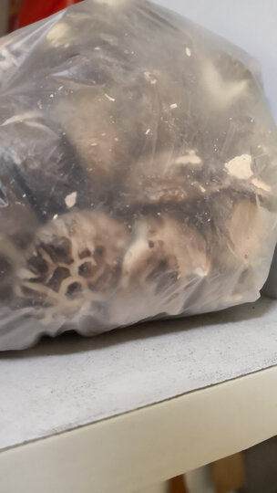 美农美季 干货礼盒 食用菌菇组合 大礼包1280g(粉条榛蘑滑子蘑猴头菇黑木耳) 晒单图