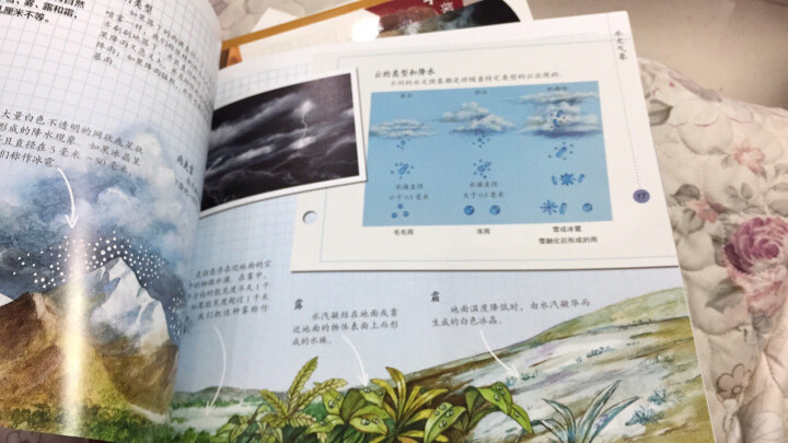 中国大百科自然科学观察丛书·野外探秘手册（套装共12册） 晒单图