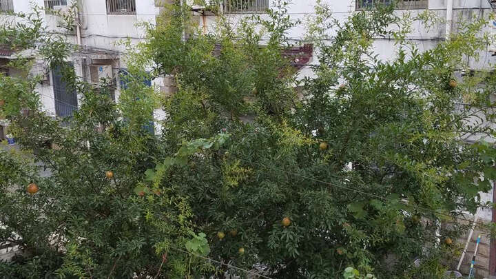 三星Galaxy S7 edge(G9350):这是我第一次购