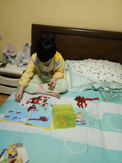 乐高LEGO创意百变三合一系列男孩儿童拼装恐龙飞机赛车积木玩具礼物 31200乐高艺术生活系列西斯黑暗尊主 晒单图