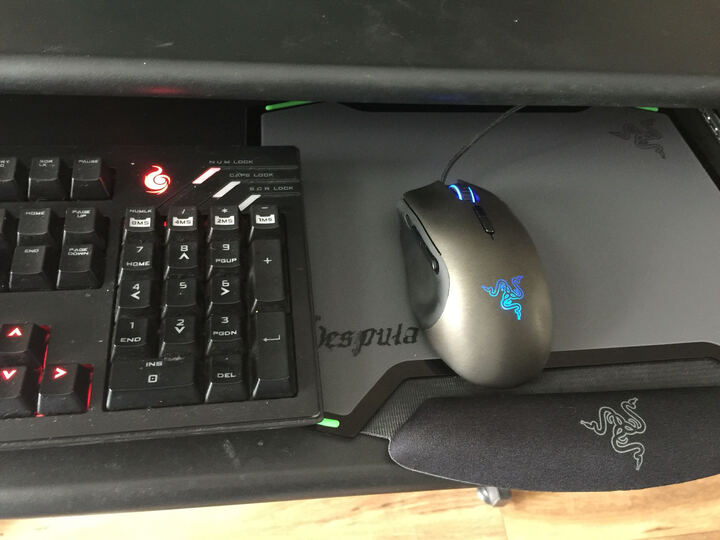 雷蛇黄斑胡蜂:哎呦 不错哦。主要看上这个手托