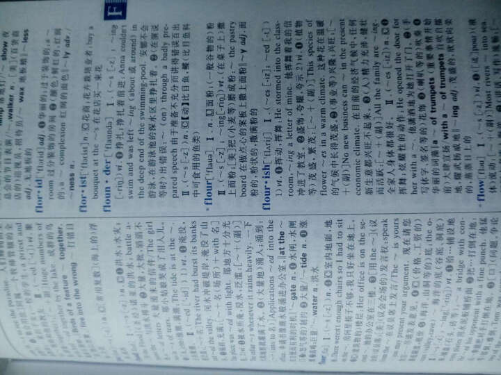 新英汉汉英词典（双色缩印版） 晒单图