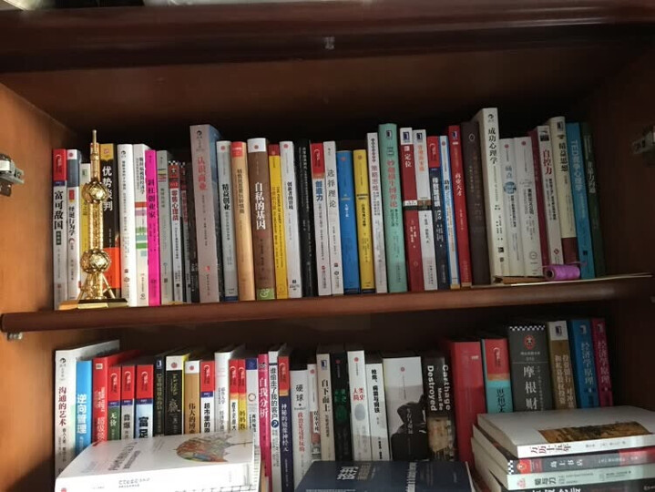 自律力:创建持久的行为习惯,成为你想成为的人 晒单图