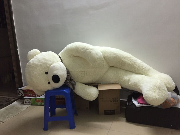 作为女生学物流专业在物流中可以做的工作是什