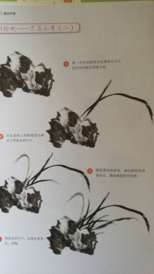 国画基础入门 梅兰竹菊（全彩） 晒单图