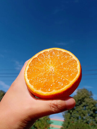 美果汇 爱媛38号柑橘 5斤 橘橙手剥果冻橙 新鲜水果 晒单图