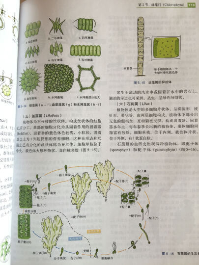 植物学（第2版） 晒单图