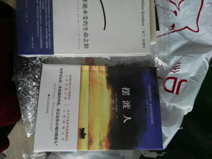 摆渡人+不能承受的生命之轻（套装共2册） 晒单图