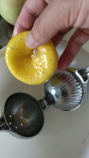 鲜果榨汁机怎么样_鲜果榨汁机多少钱_鲜果榨