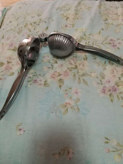 鲜果榨汁机怎么样_鲜果榨汁机多少钱_鲜果榨