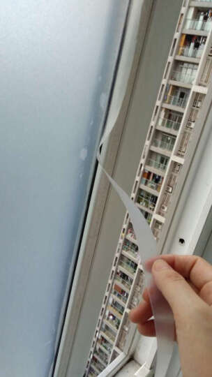万域（wanyu） 静电玻璃纸自粘磨砂玻璃贴膜卫生间浴室办公室窗户玻璃贴纸防水防晒透光不透明 9673黑叶 0.6X2米 晒单图