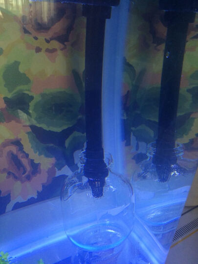 森森鱼缸:包装快递什么都好,只是昨天装好后放