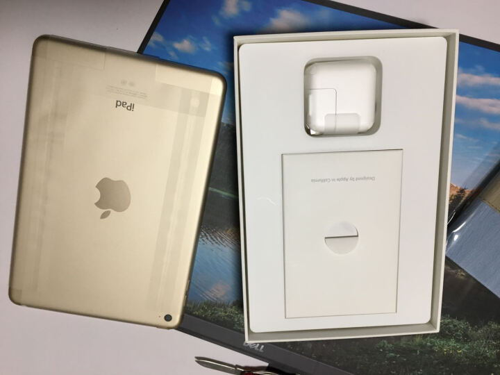 AppleiPad mini4:双十一用小金库支付购买最划