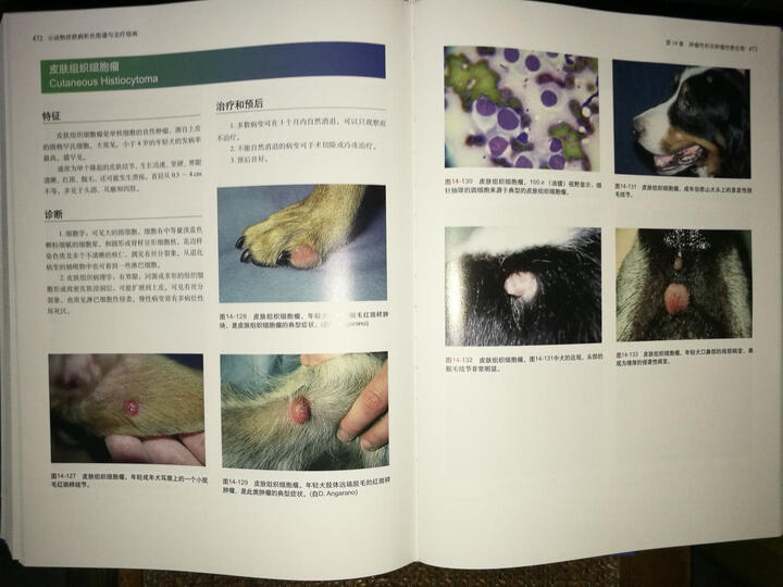 小动物皮肤病彩色图谱与治疗指南(第3版) 晒单图