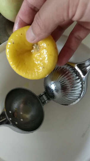 鲜果榨汁机怎么样_鲜果榨汁机多少钱_鲜果榨