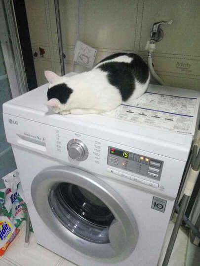 请问大家~家里的半自动洗衣机,洗衣服那个桶下