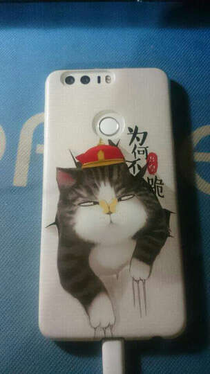 华为荣耀8:本来很期待,但是用了一个半月,不推