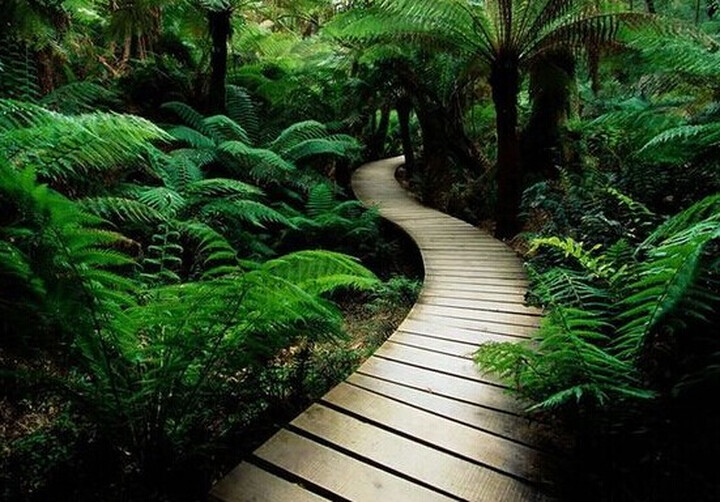 索尼(SONY)ILCE-5100L 标准单镜套装 白色 (E