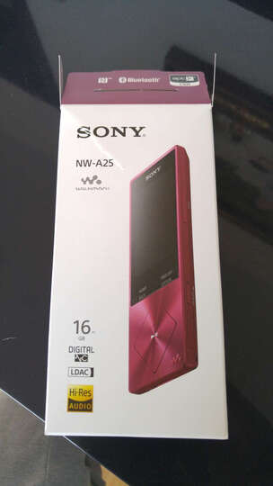 索尼NW-A25:续航,隔几天不听就没电了,内存小