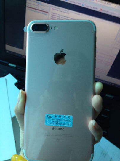 AppleiPhone7 Plus:录视频确实zizi声很大,也不