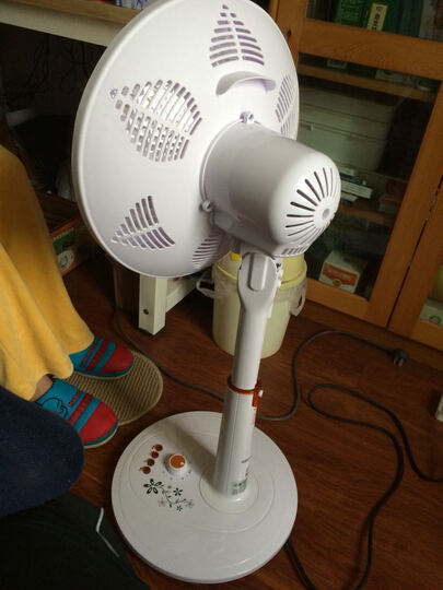 澳柯玛NS08ND39:还是电热丝的版本,七层宝塔