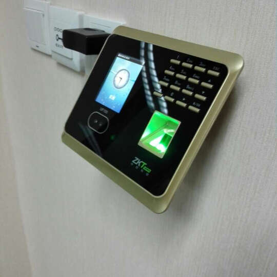 槟金PLUS+京东配送+发票需要纳税人识别号