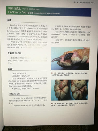 小动物皮肤病彩色图谱与治疗指南(第3版) 晒单图