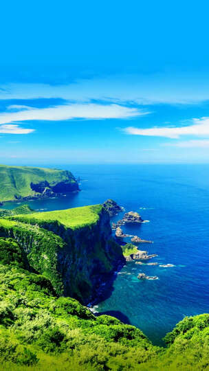 孕妇dha奶粉怎么样_孕妇dha奶粉多少钱_孕妇