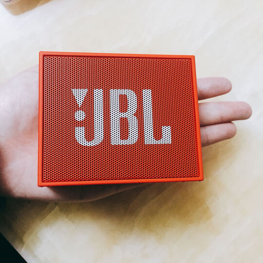 JBLGO:真的很小一个,就比女孩子手心大一点