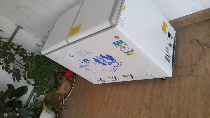 海尔FCD-216SHT:京东自营的就是好,青岛日日