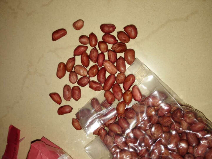 天地粮人有机大米:花生个小。在冷水里浸了不