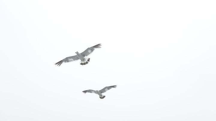 适马30mm F1.4 DC DN|Contemporary:对焦速