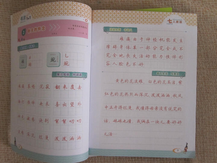 小学生写字课课练(人教版 五年级上) 晒单图