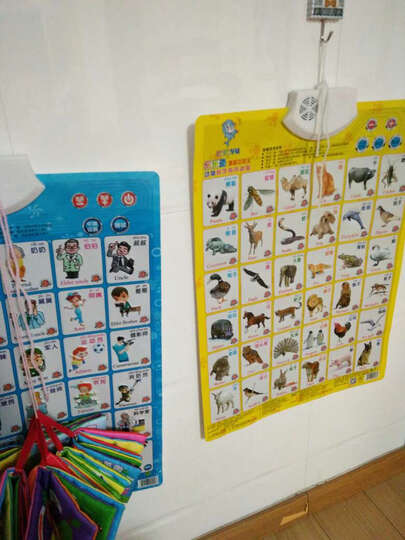 乐乐鱼有声挂图 6件套(认人物 认动物 认水果 拼