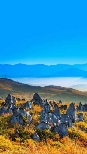 孕妇dha奶粉怎么样_孕妇dha奶粉多少钱_孕妇