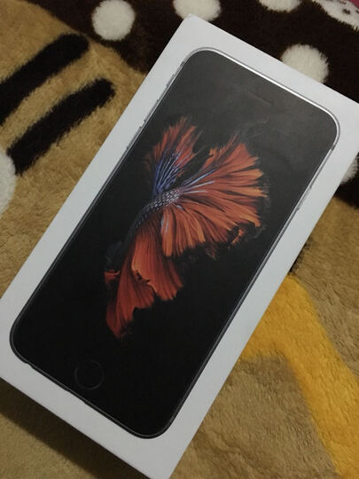 Apple:双十一购的,估计快递很多快递帅哥有点