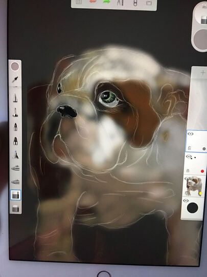 .7英寸:给媳妇儿打游戏用的 我也能用来画画 9