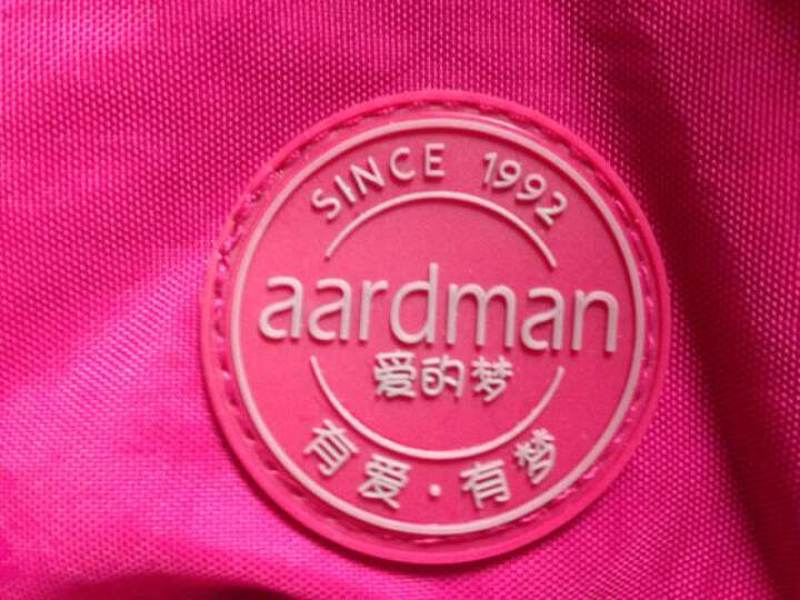 Aardman 大容量妈咪包环保多功能时尚妈妈包斜跨孕妇待产包母婴包外出包 HY1306D 紫色大小包全套装1306ZQ 均码 晒单图