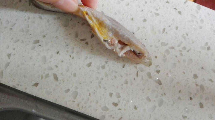 鲜动生活小银鱼:凑单的小黄鱼,虽然小点儿,但