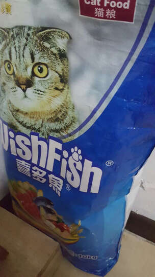 普通猫猫粮多少钱一袋-家猫能吃米饭吗_怪老太
