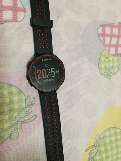 佳明Forerunner235黑红:当日下单,当日到货,神